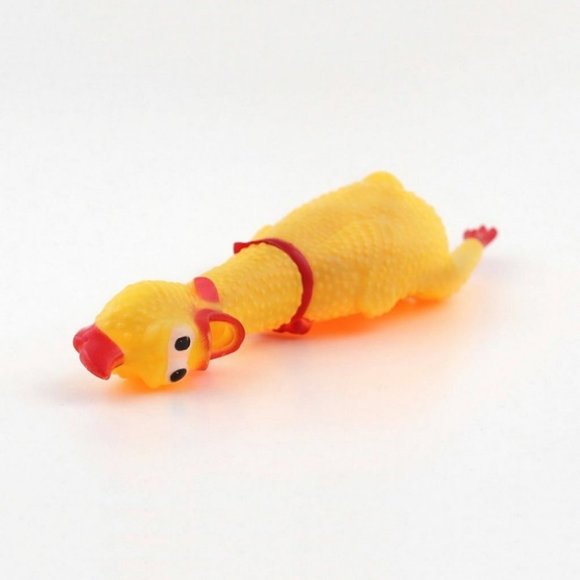 Hot Sell Screaming Chicken - Picture 5 of 5